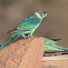 Unverified at suppressed - suppressed