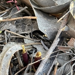 Unverified at suppressed - suppressed