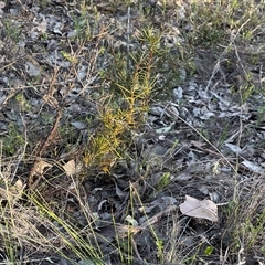 Unverified at suppressed - suppressed