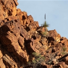 Unverified at suppressed - suppressed