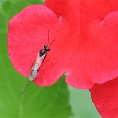 Unverified at suppressed - suppressed