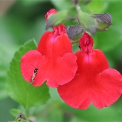 Unverified at suppressed - suppressed