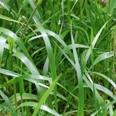 Unverified at suppressed - suppressed