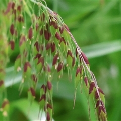 Unverified at suppressed - suppressed