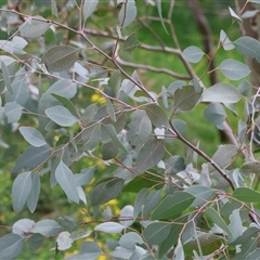 Unverified at suppressed - suppressed