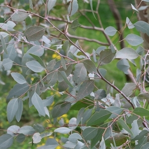 Unverified at suppressed - suppressed