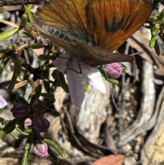 Unverified at suppressed - suppressed