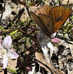 Unverified at suppressed - suppressed