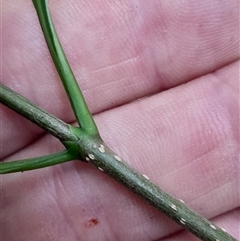 Unverified at suppressed - suppressed