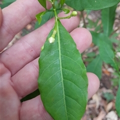 Unverified at suppressed - suppressed