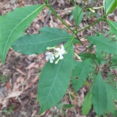 Unverified at suppressed - suppressed