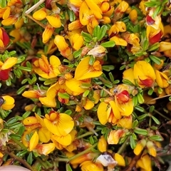 Unverified at suppressed - suppressed