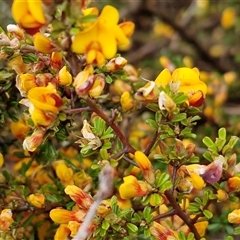 Unverified at suppressed - suppressed