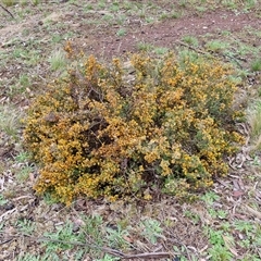 Unverified at suppressed - suppressed