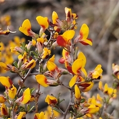 Unverified at suppressed - suppressed