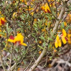 Unverified at suppressed - suppressed