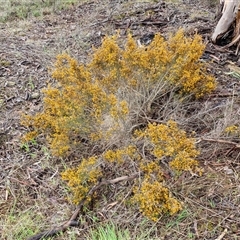 Unverified at suppressed - suppressed