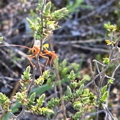 Unverified at suppressed - suppressed