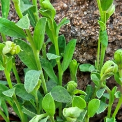 Unverified at suppressed - suppressed