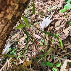 Unverified at suppressed - suppressed