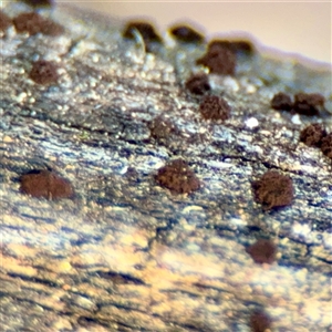 Unverified at suppressed - suppressed