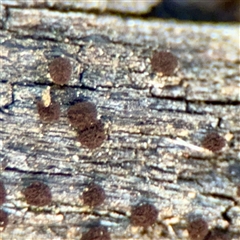 Unverified at suppressed - suppressed