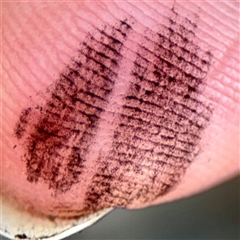 Unverified at suppressed - suppressed