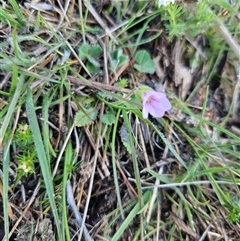 Unverified at suppressed - suppressed