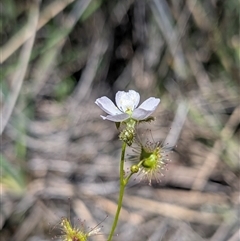 Unverified at suppressed - suppressed