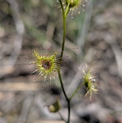 Unverified at suppressed - suppressed