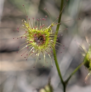 Unverified at suppressed - suppressed