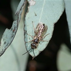 Unverified at suppressed - suppressed