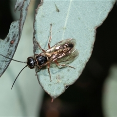 Unverified at suppressed - suppressed