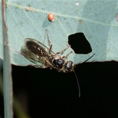 Unverified at suppressed - suppressed