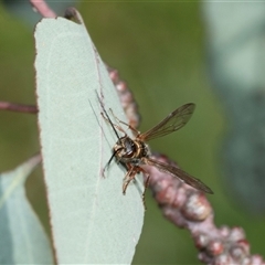 Unverified at suppressed - suppressed