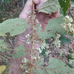 Unverified at suppressed - suppressed