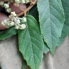 Unverified at suppressed - suppressed