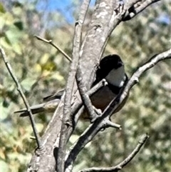 Unverified at suppressed - suppressed