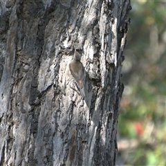 Unverified at suppressed - suppressed