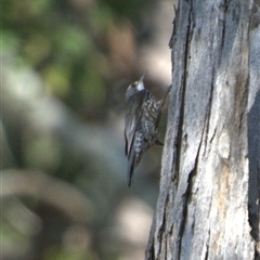 Unverified at suppressed - suppressed