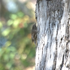 Unverified at suppressed - suppressed