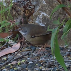 Unverified at suppressed - suppressed