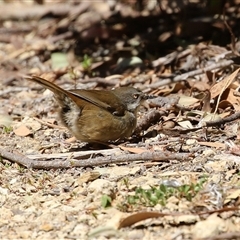 Unverified at suppressed - suppressed