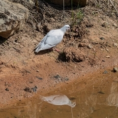 Unverified at suppressed - suppressed