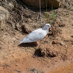 Unverified at suppressed - suppressed