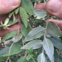 Unverified at suppressed - suppressed