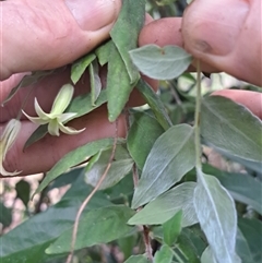 Unverified at suppressed - suppressed