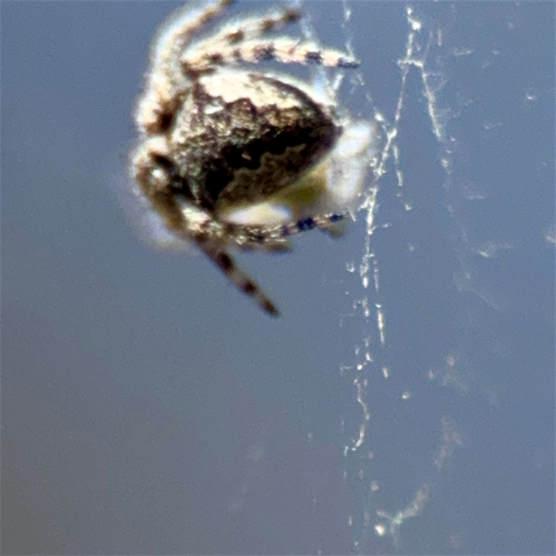 Unverified at suppressed - suppressed