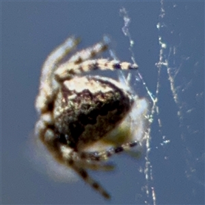 Unverified at suppressed - suppressed