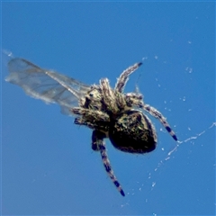 Unverified at suppressed - suppressed